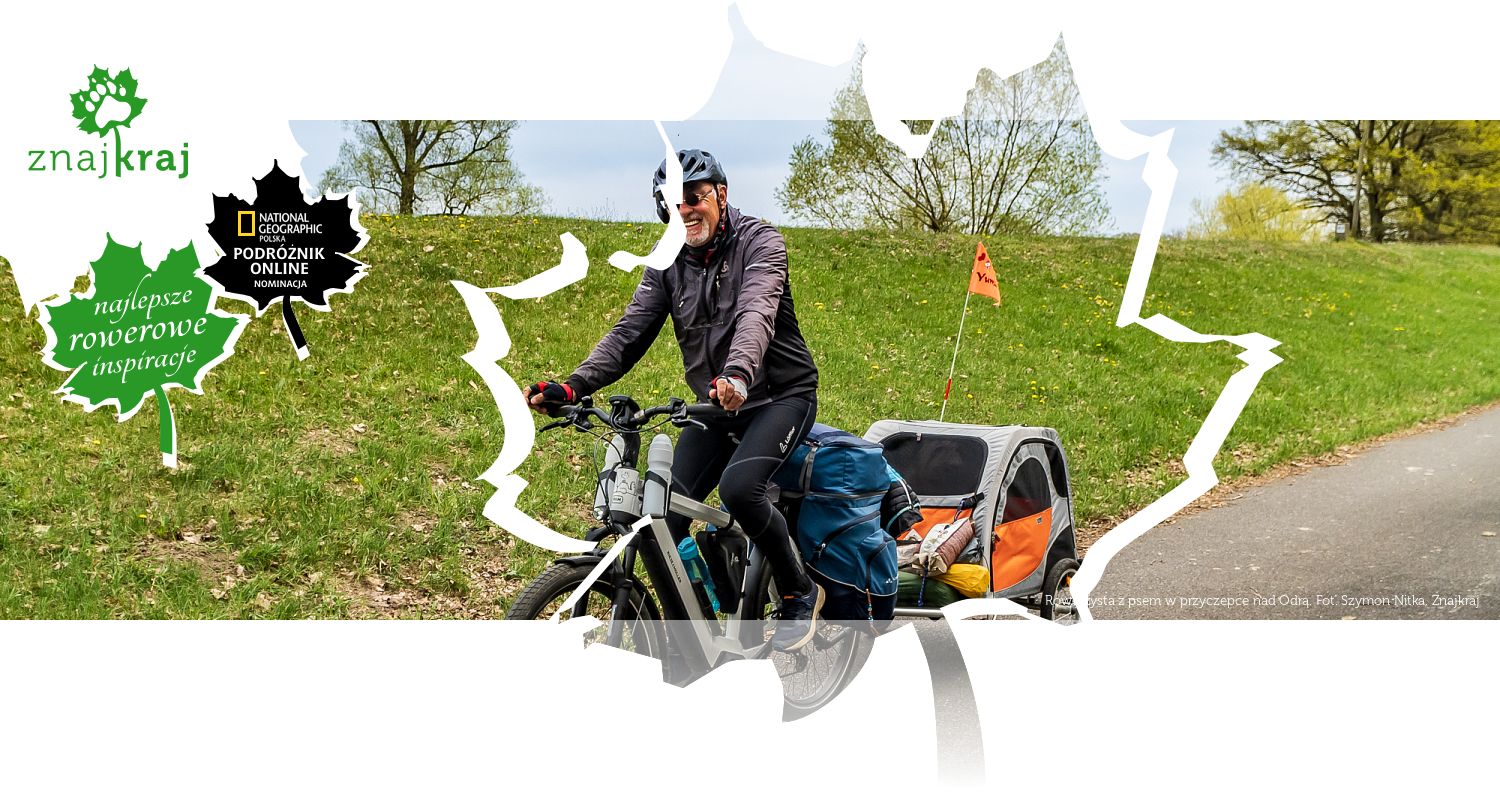 Rowerzysta z psem w przyczepce nad Odrą