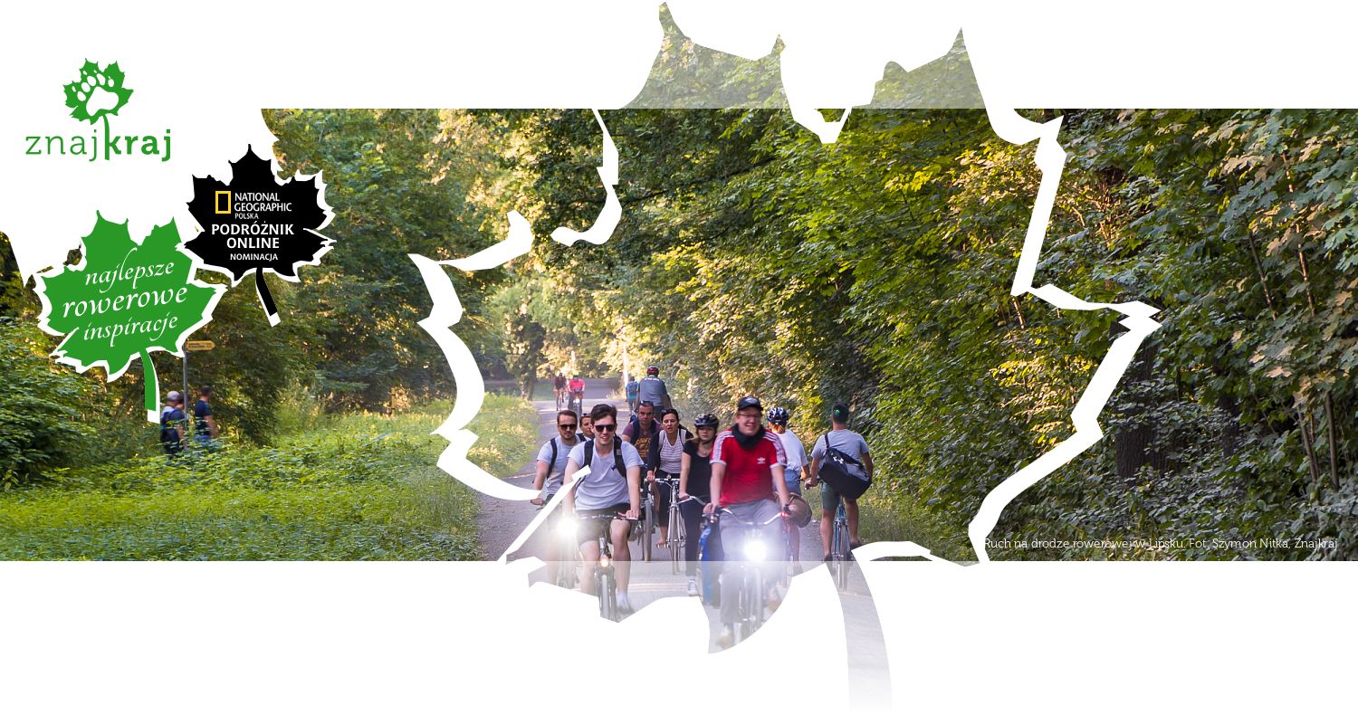 Ruch na drodze rowerowej w Lipsku