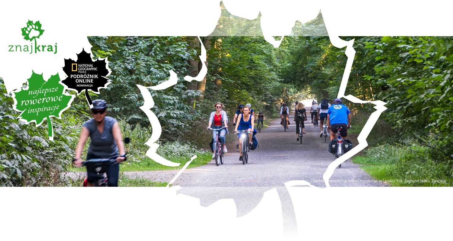 Ruch rowerowy na leśnej magistrali w Lipsku