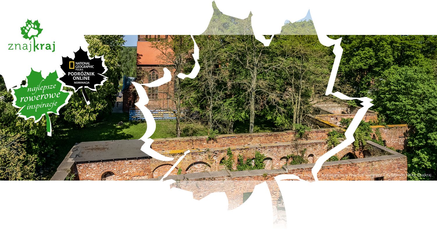 Ruiny klasztoru augustianów w Policach-Jasienicy