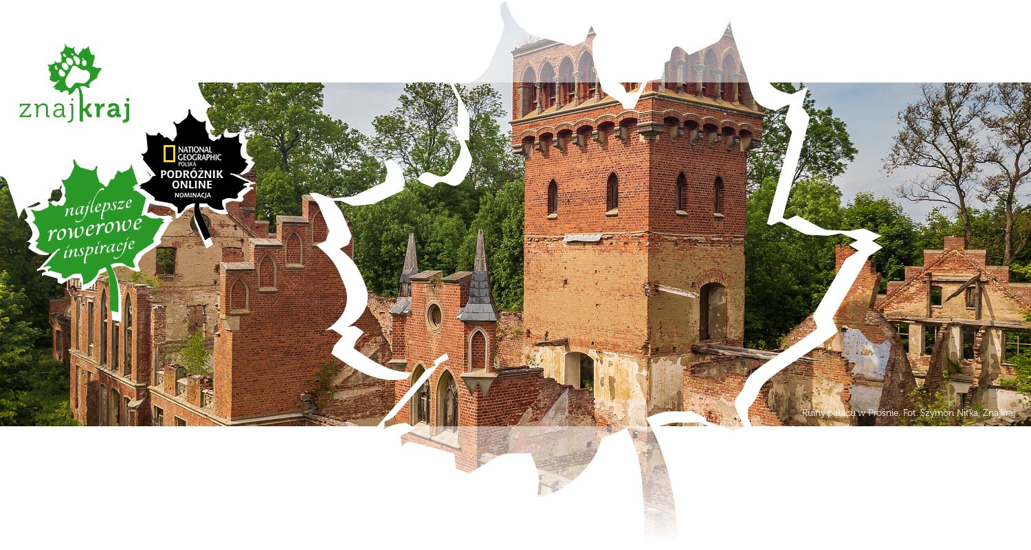 Ruiny pałacu w Prośnie