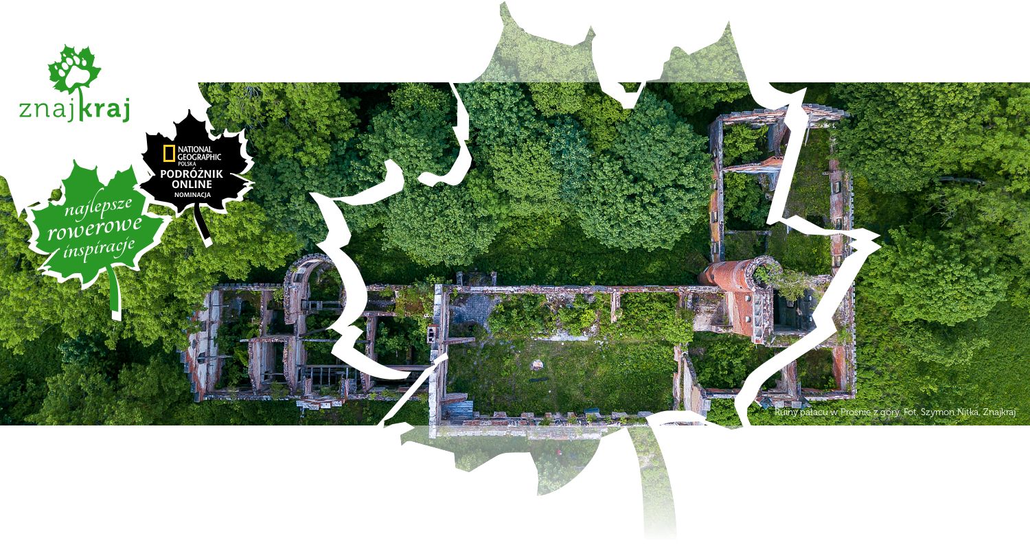 Ruiny pałacu w Prośnie z góry