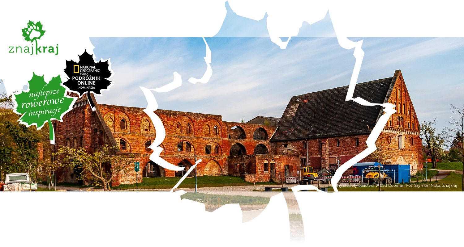 Ruiny stodoły opactwa w Bad Doberan