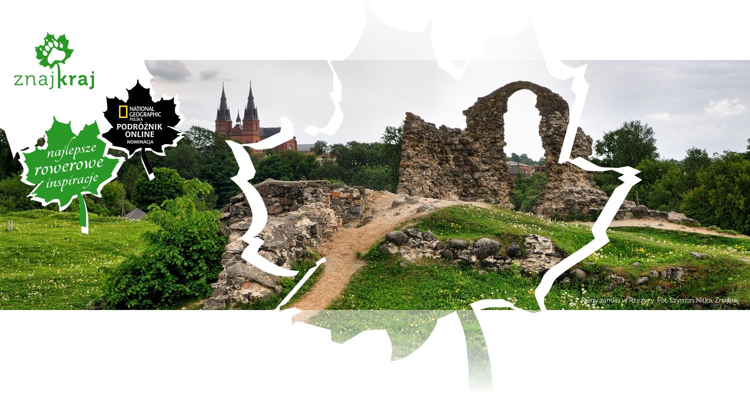 Ruiny zamku w Rzeżycy