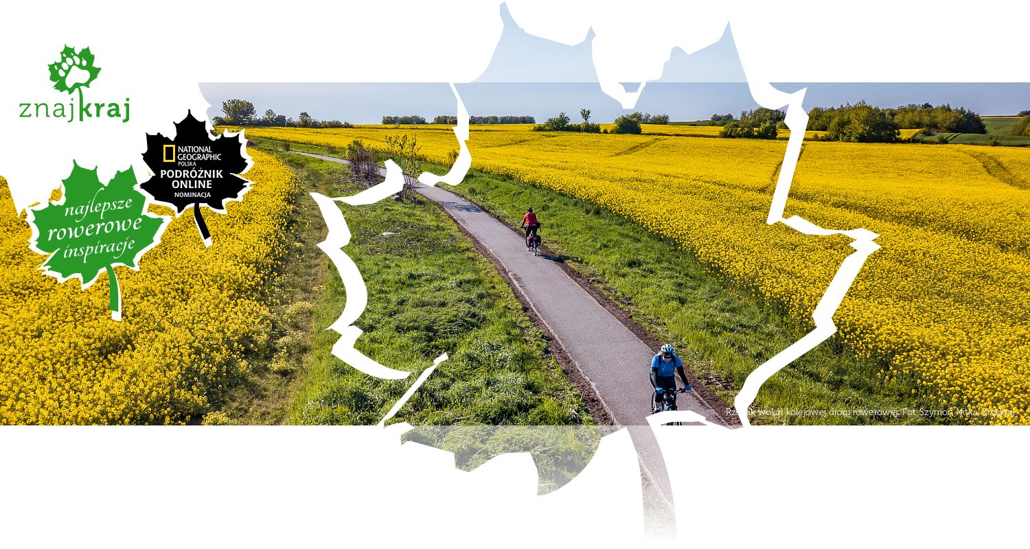 Rzepak wokół kolejowej drogi rowerowej