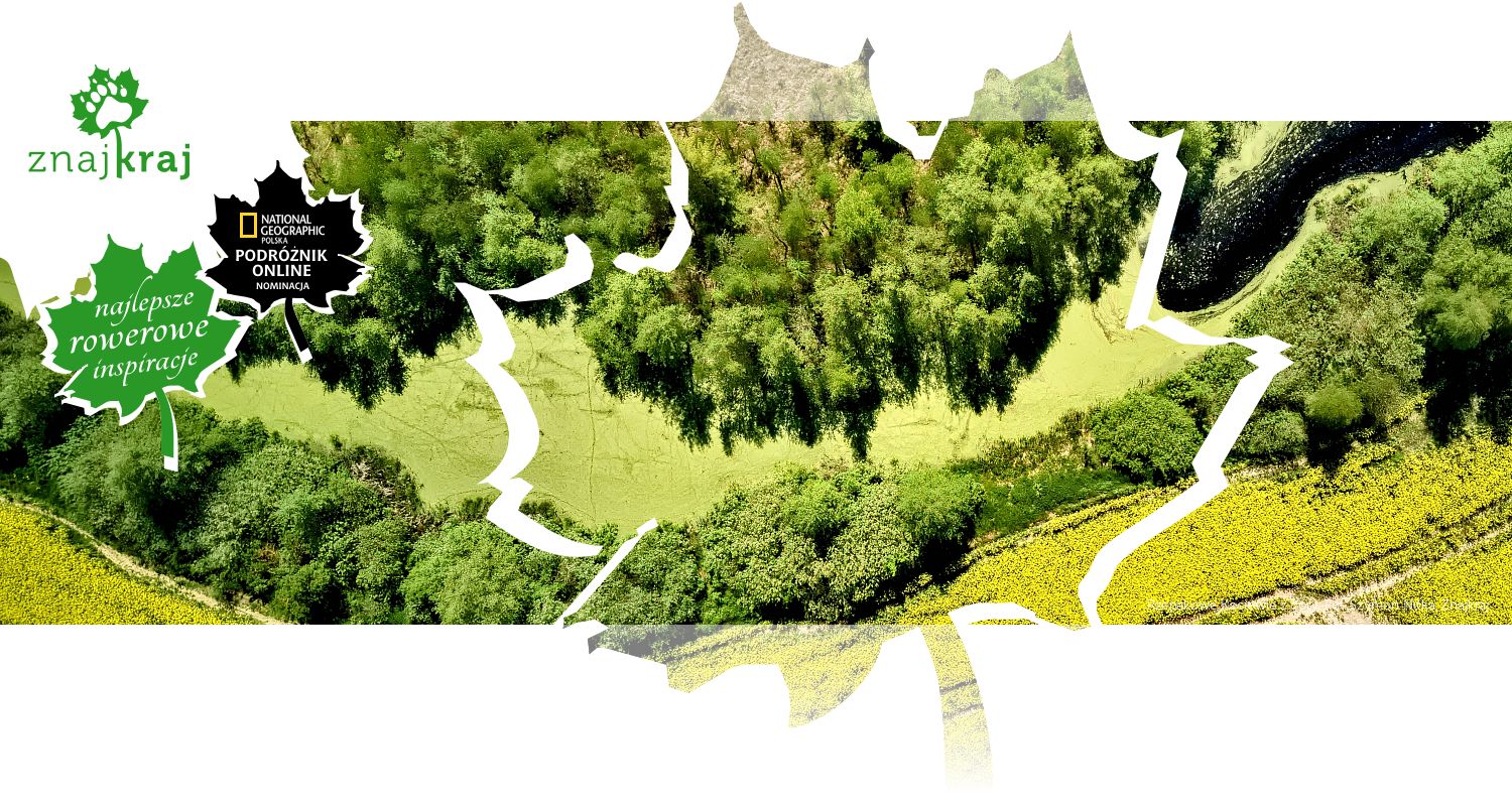 Rzepakowe Kociewie z góry