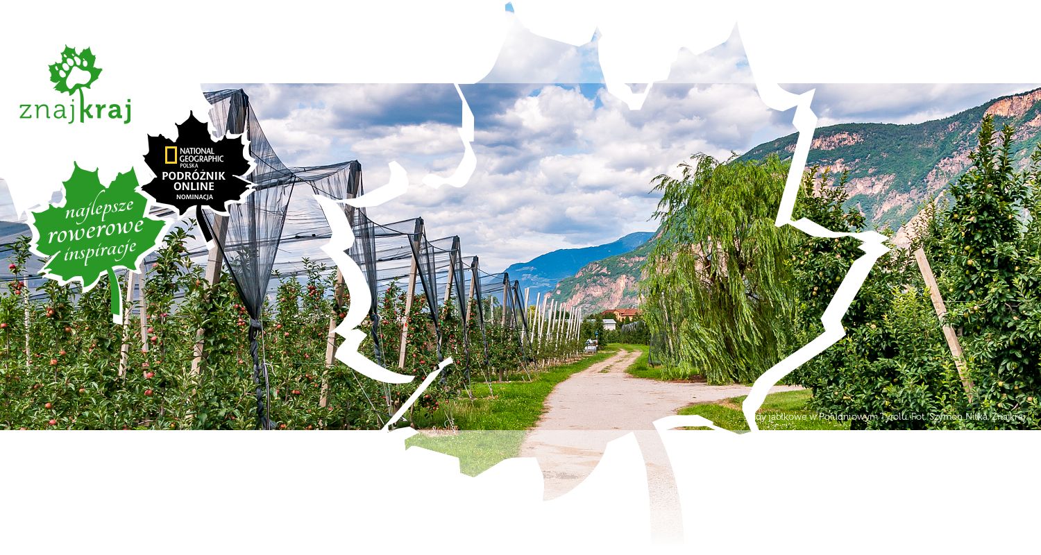 Sady jabłkowe w Południowym Tyrolu