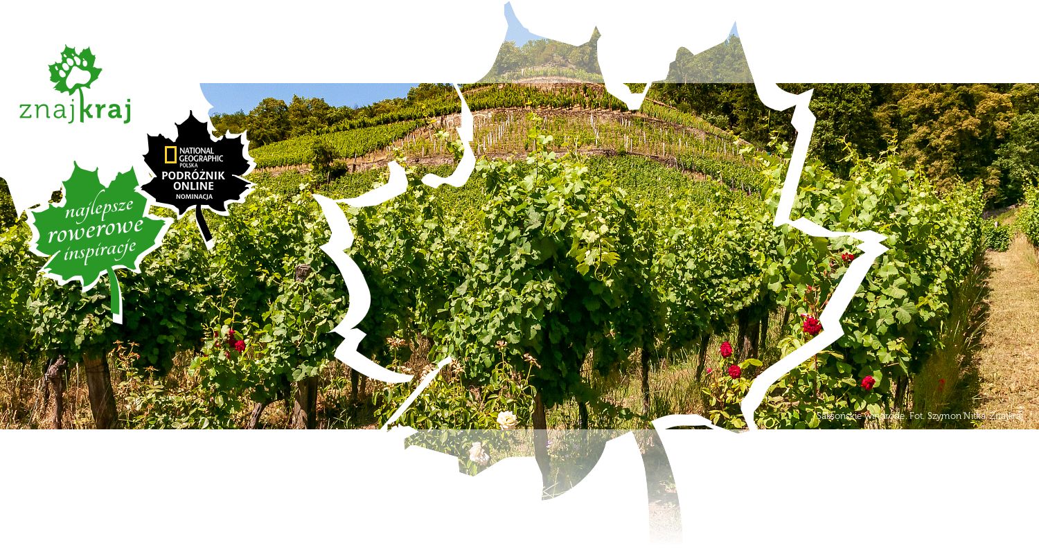 Saksońskie winorośle