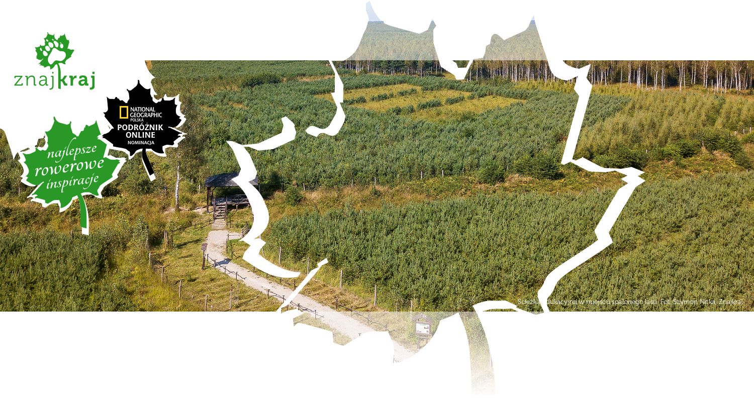 Ścieżka edukacyjna w miejscu spalonego lasu