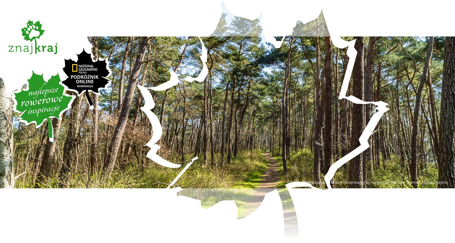 Ścieżka prowadząca do wieży obserwacyjnej na górze Pirat