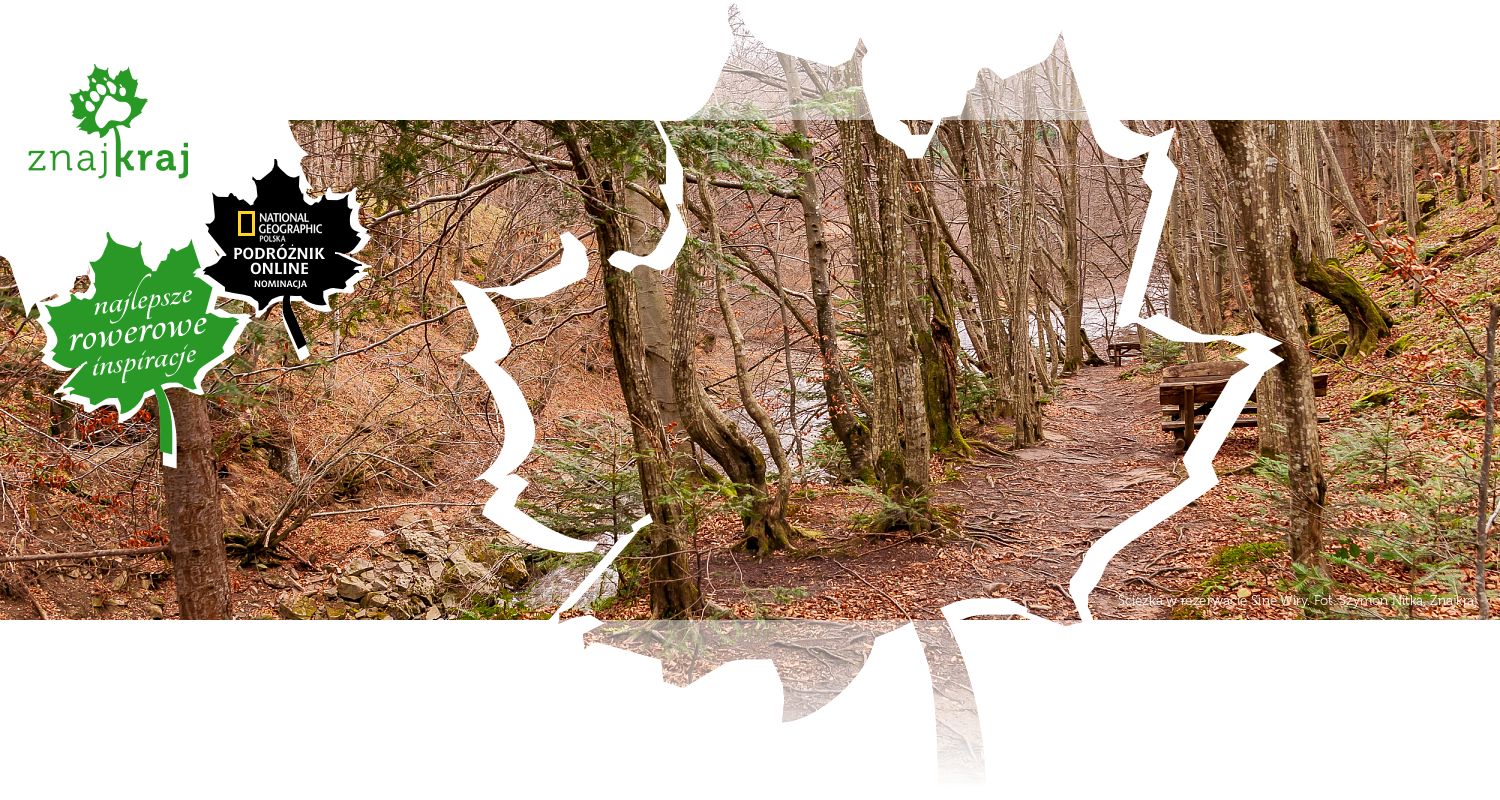 Ścieżka w rezerwacie Sine Wiry