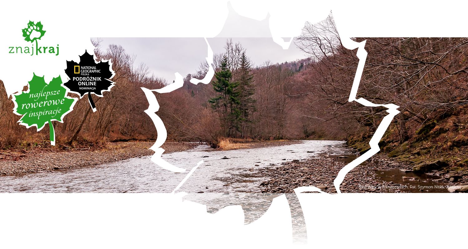 Sine Wiry w Bieszczadach