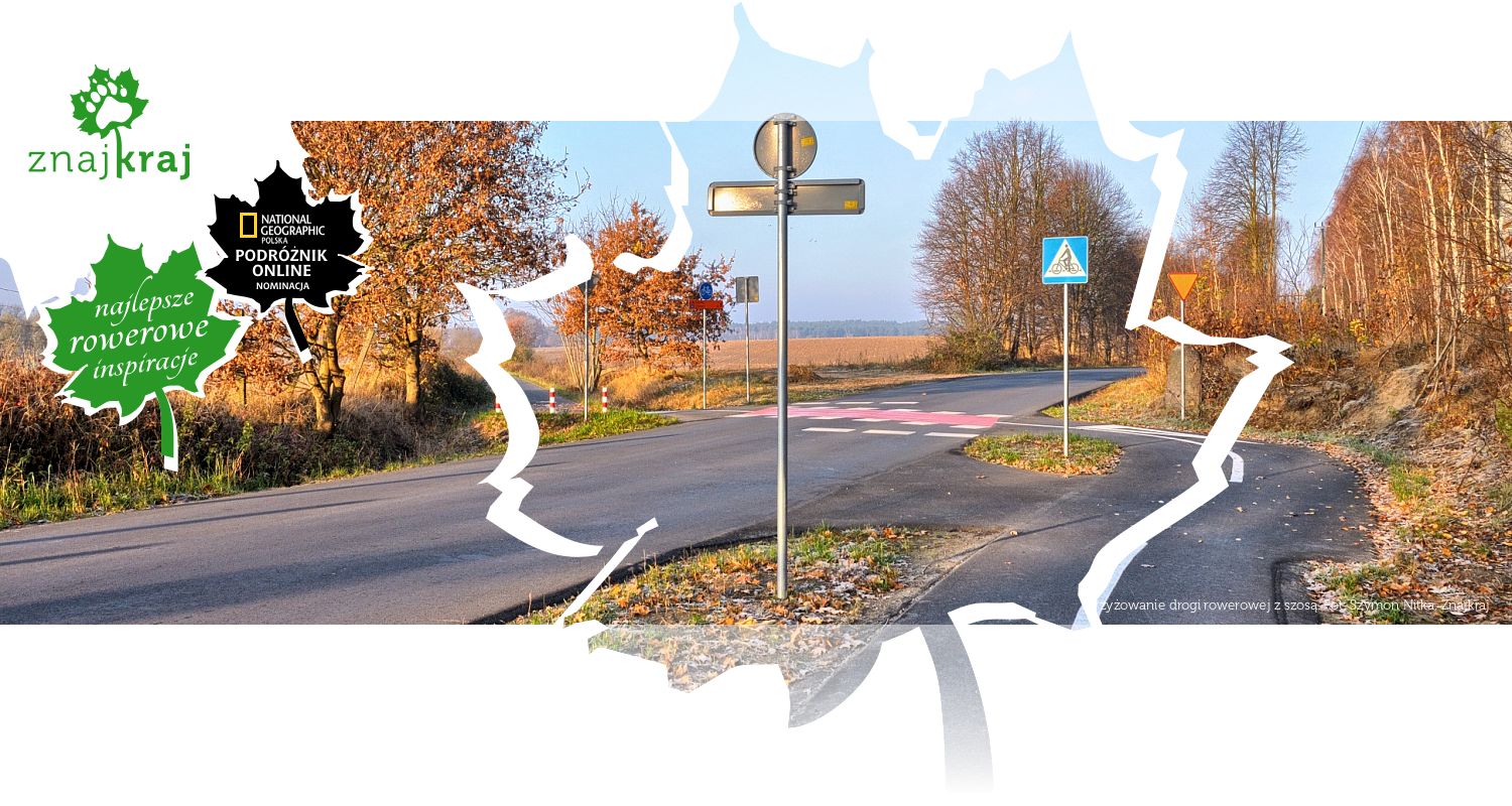 Skrzyżowanie drogi rowerowej z szosą