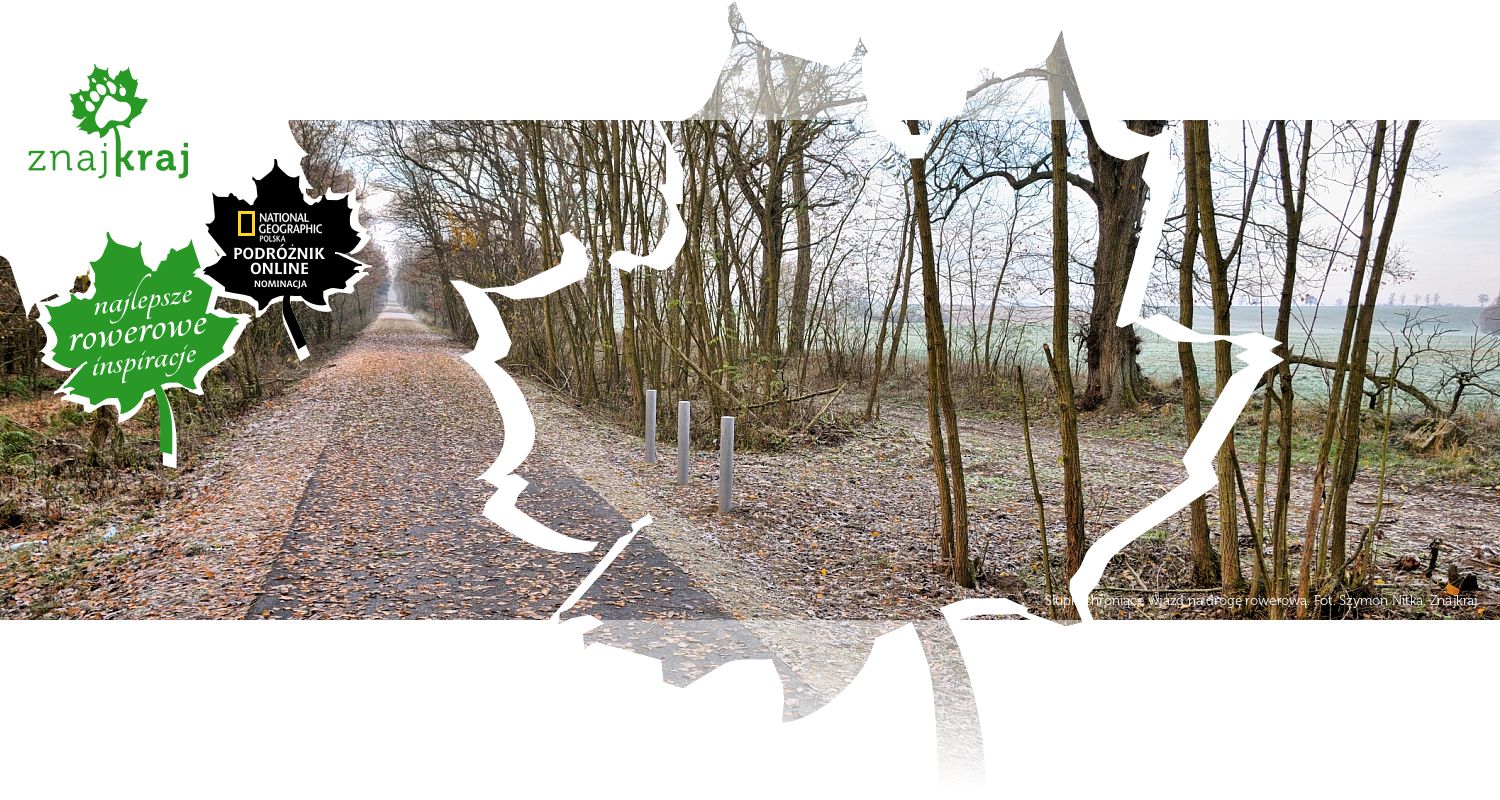 Słupki chroniące wjazd na drogę rowerową