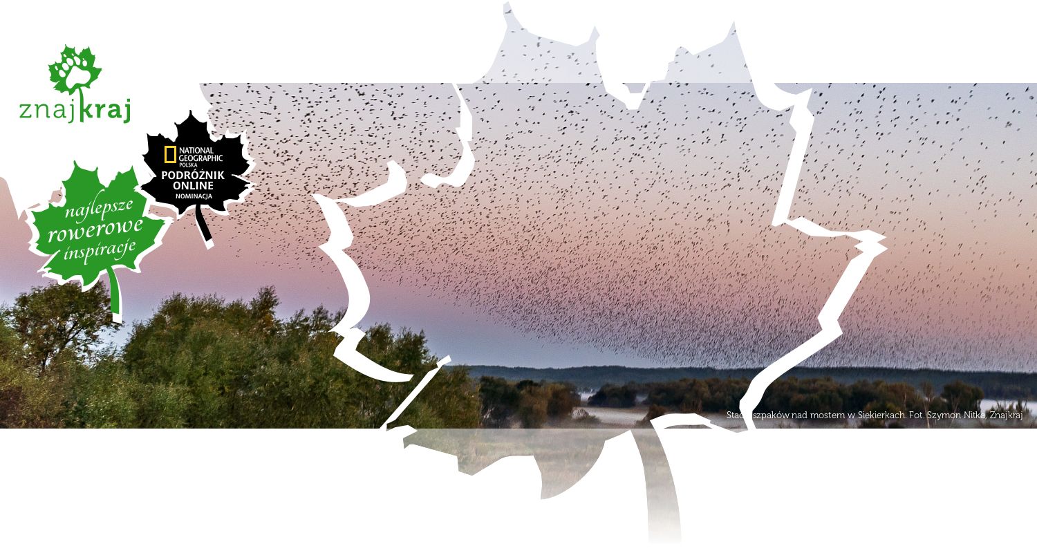 Stado szpaków nad mostem w Siekierkach