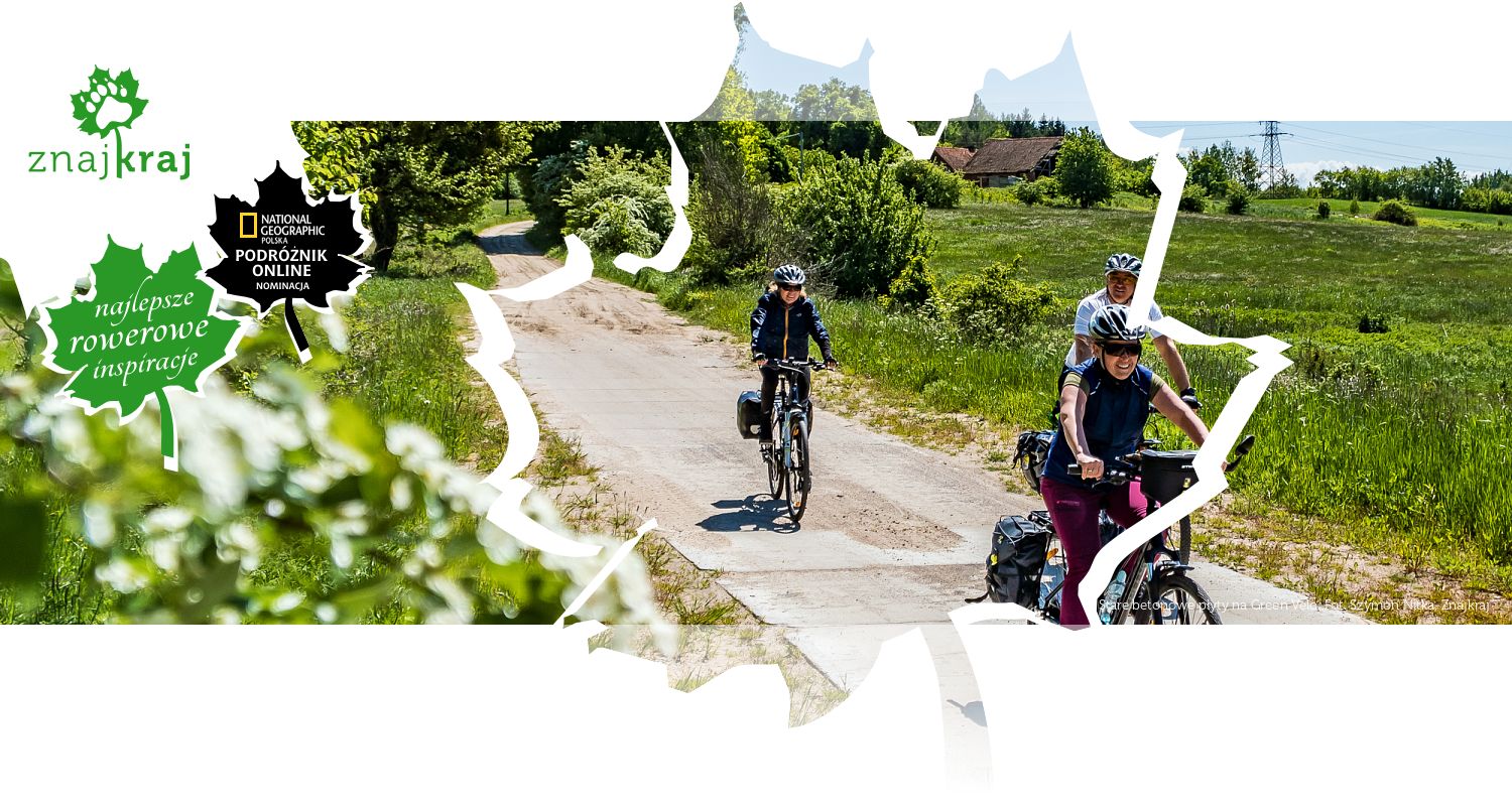 Stare betonowe płyty na Green Velo