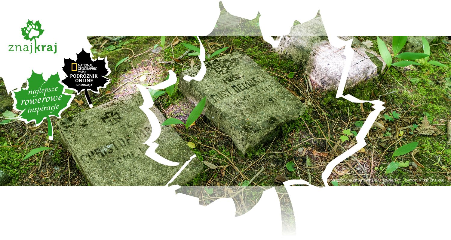 Stare nagrobki na cmentarzu w Orłowie