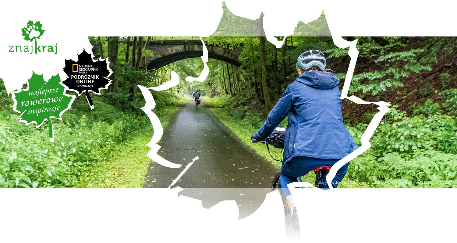 Stary wiadukt na kolejowym szlaku w Hesji 