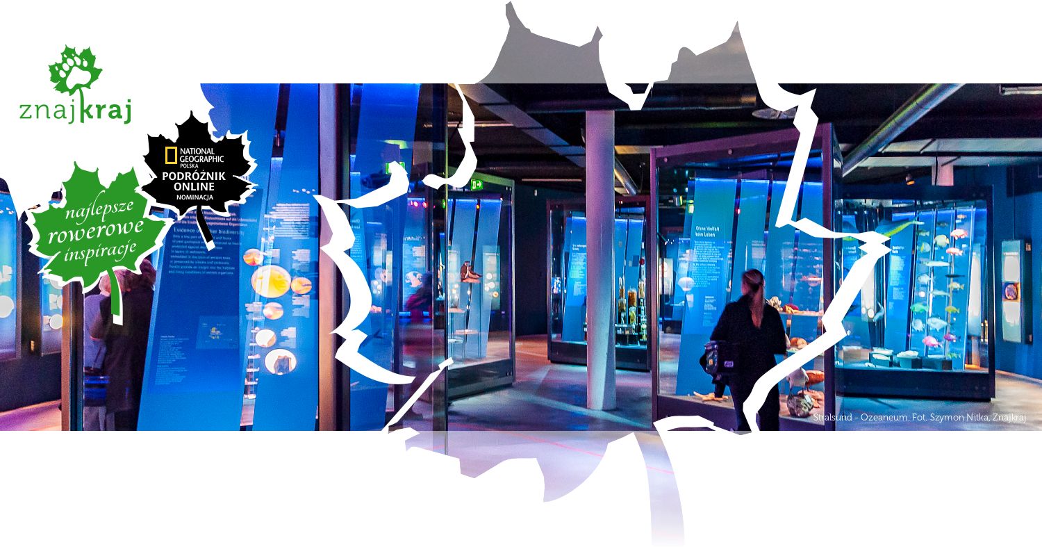 Stralsund - Ozeaneum