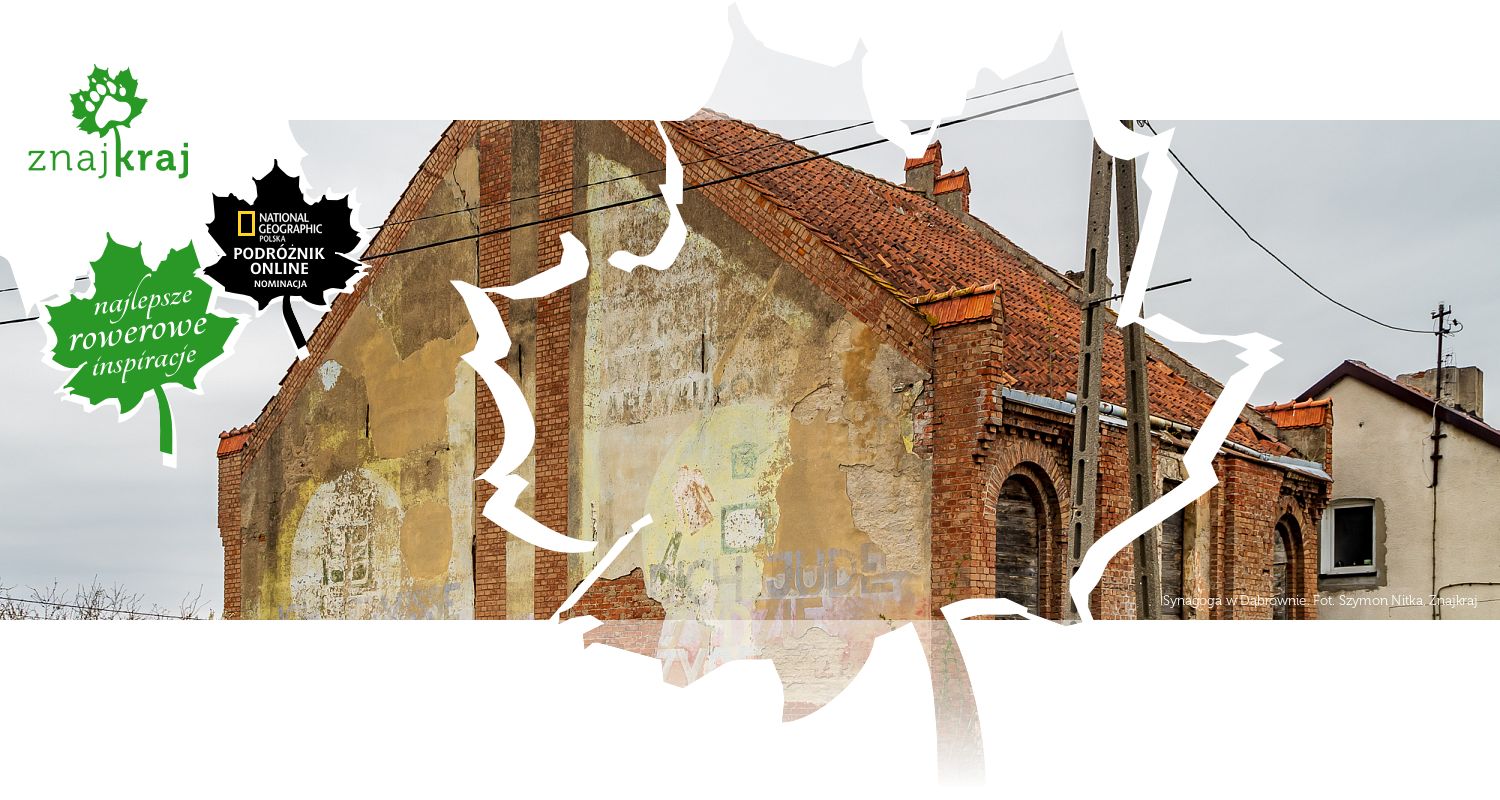 Synagoga w Dąbrównie