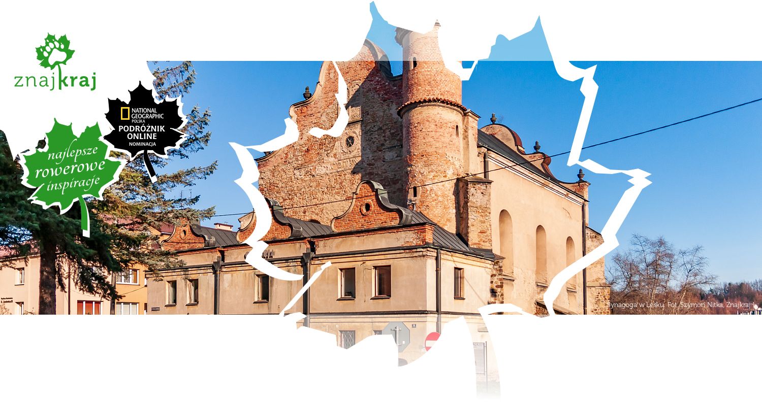 Synagoga w Lesku