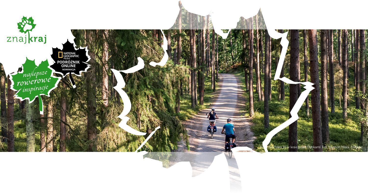 Szlak EuroVelo 10 w lesie przed Dębkami