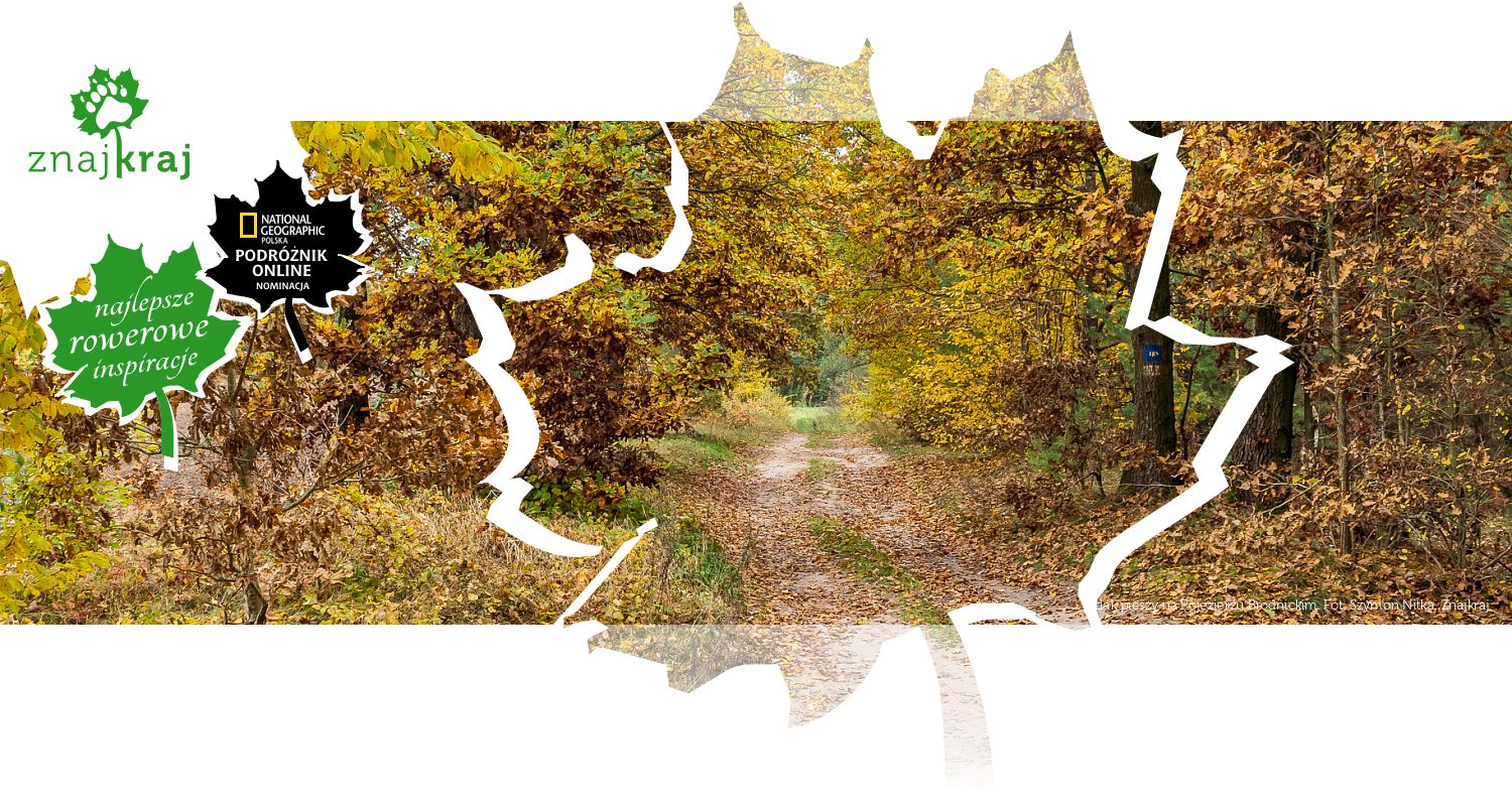 Szlak pieszy na Pojezierzu Brodnickim