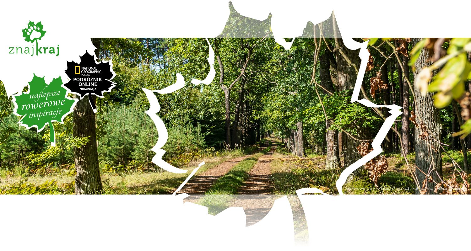 Szlak rowerowy w lasach rudzkich