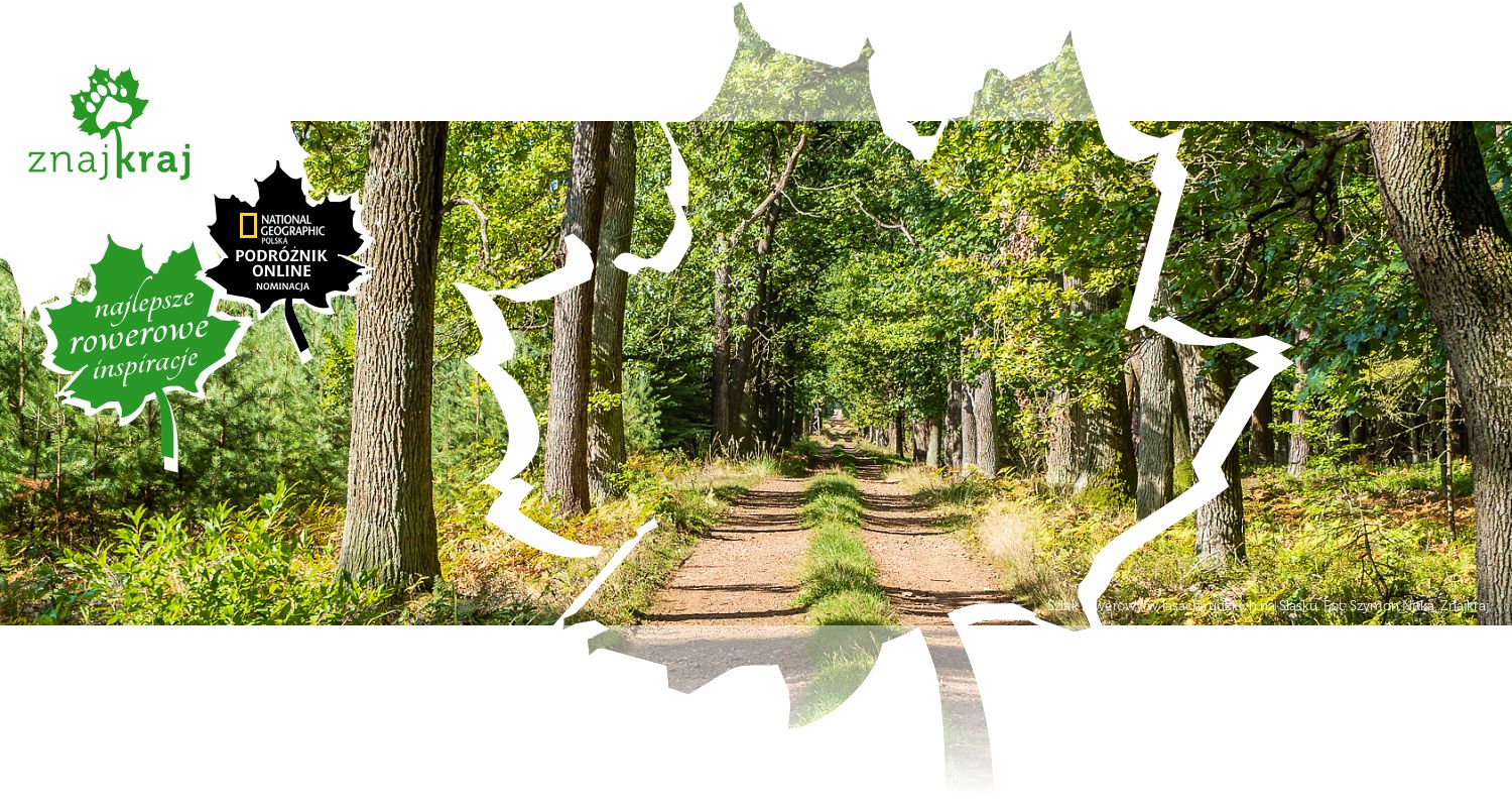 Szlak rowerowy w lasach rudzkich na Śląsku