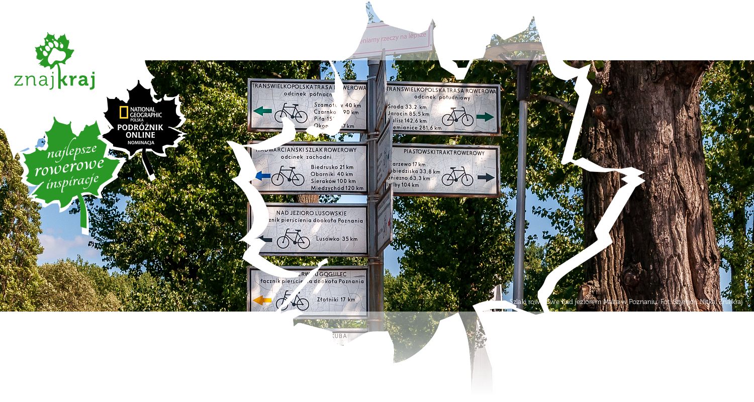 Szlaki rowerowe nad jeziorem Malta w Poznaniu