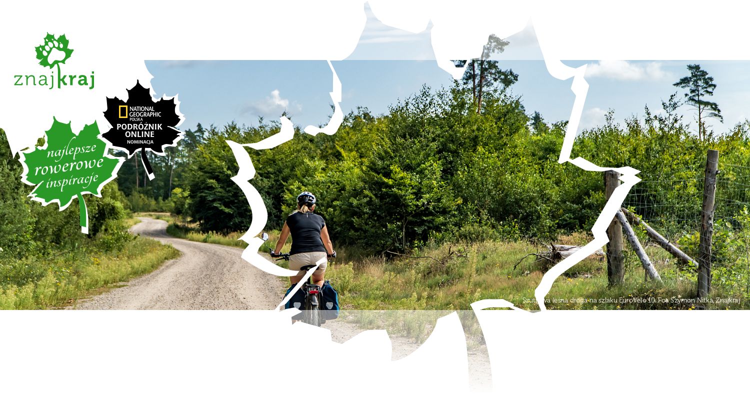 Szutrowa leśna droga na szlaku EuroVelo 10