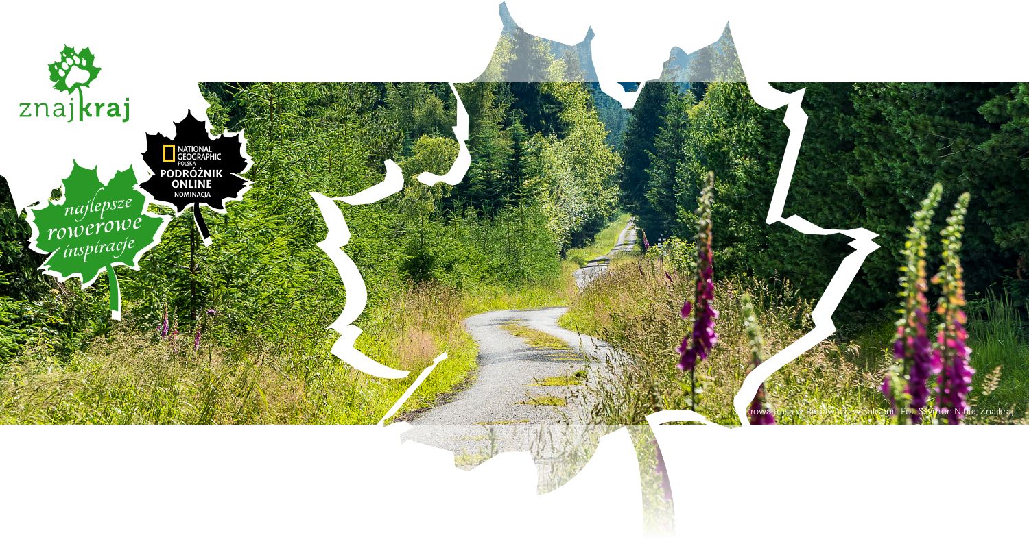 Szutrowa trasa w Rudawach w Saksonii