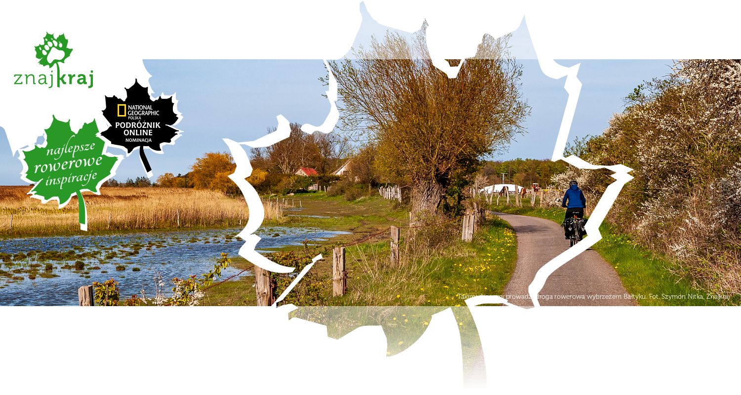 Takimi drogami prowadzi droga rowerowa wybrzeżem Bałtyku