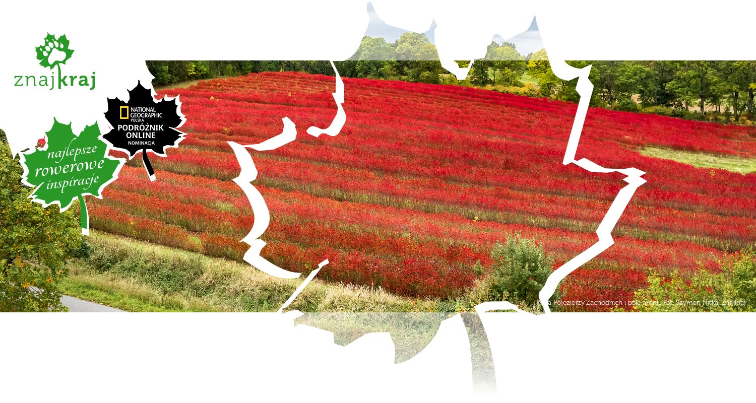 Trasa Pojezierzy Zachodnich i pole aronii