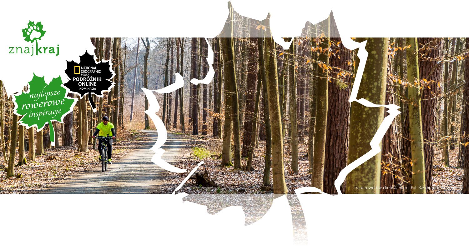 Trasa rowerowa koło Jantaru