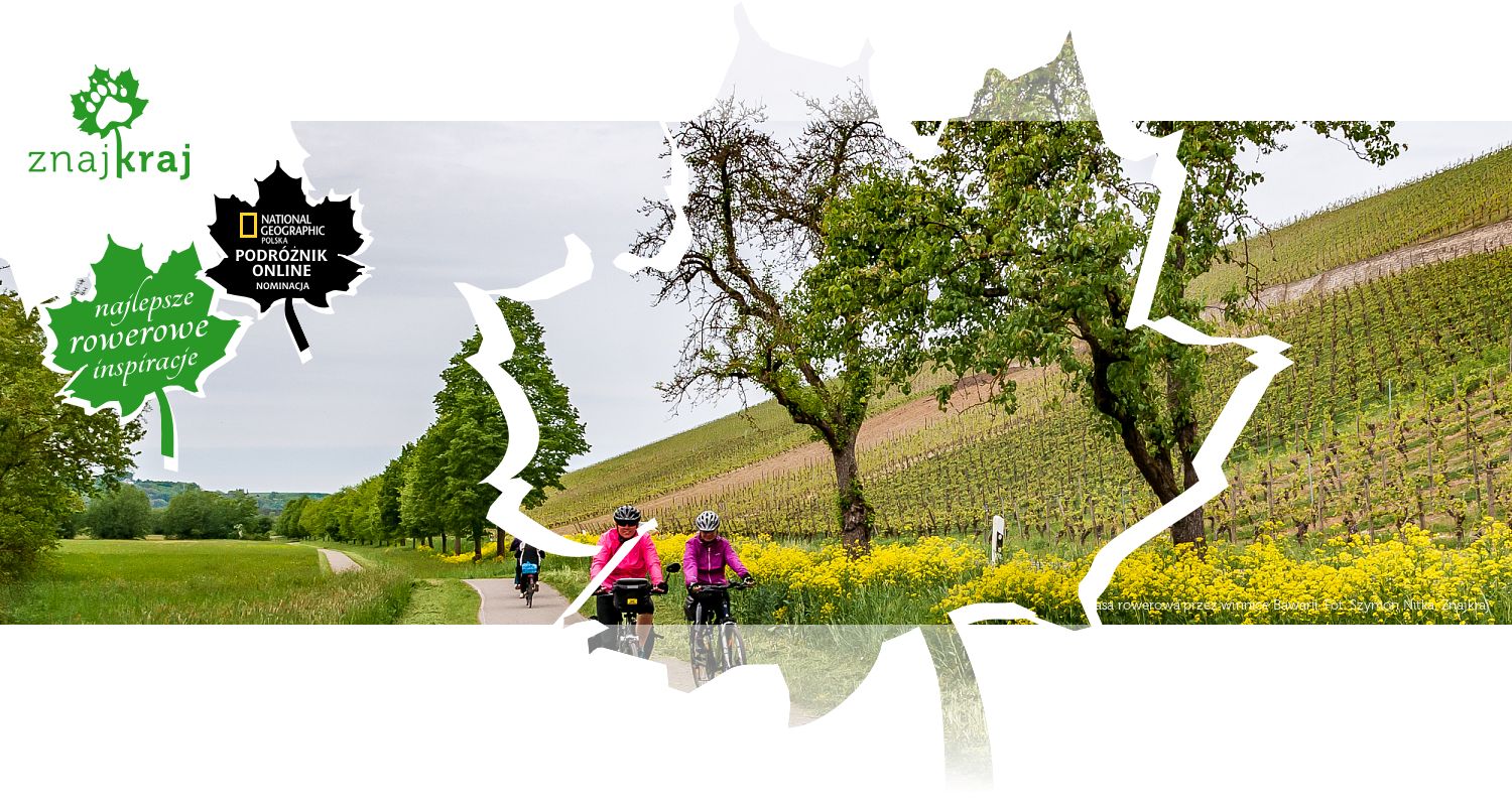 Trasa rowerowa przez winnice Bawarii