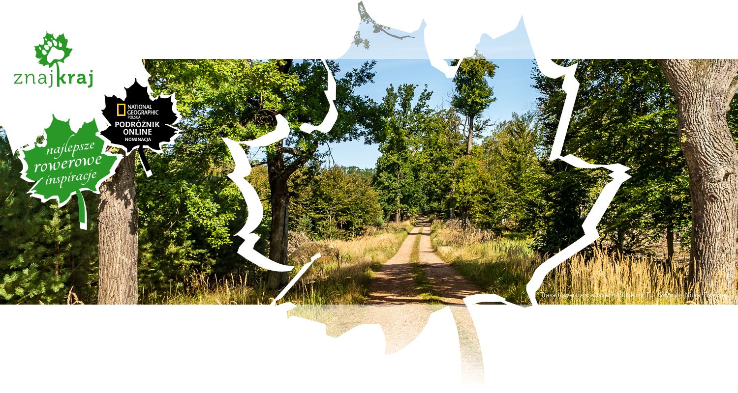 Trasa rowerowa w lasach rudzkich