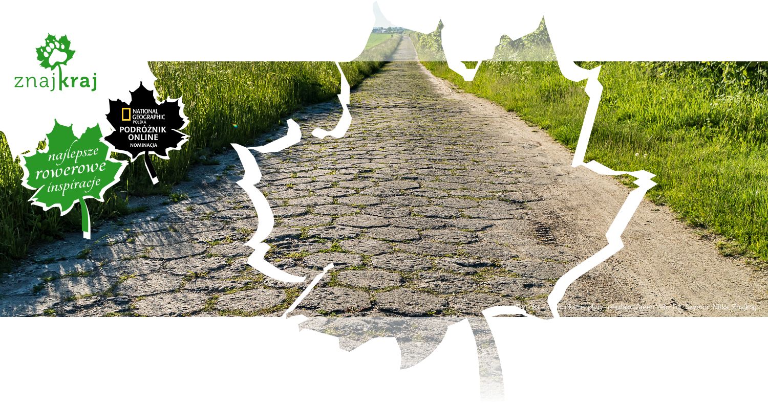 Trylinka - sześciokątne płyty na szlaku Green Velo