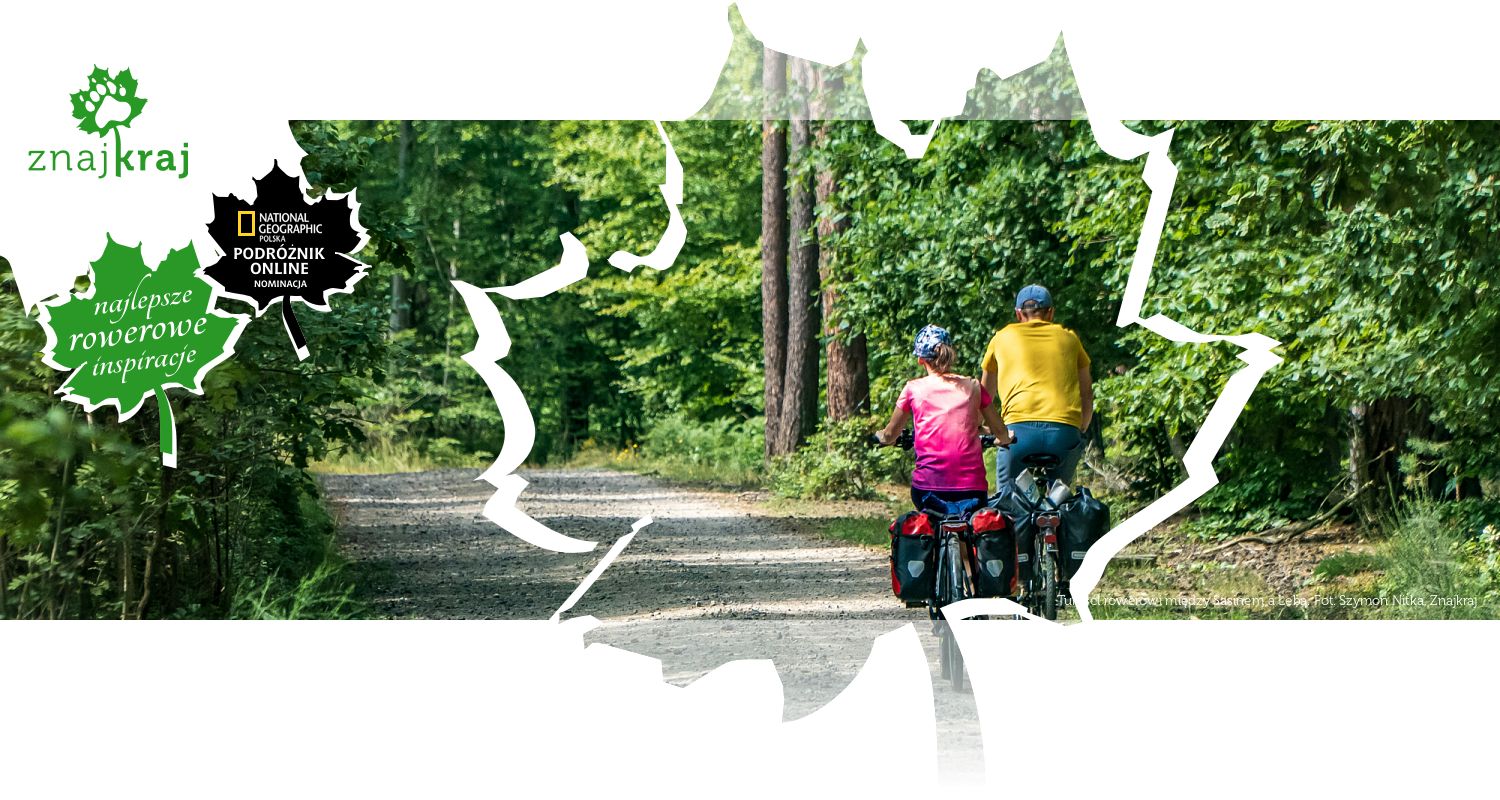 Turyści rowerowi między Sasinem a Łebą