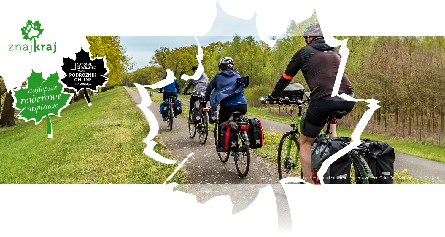 Turyści rowerowi na szlaku rowerowym nad Odrą