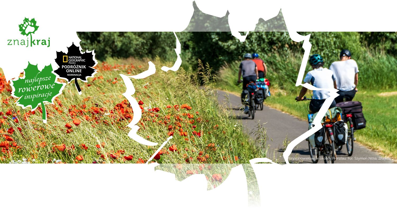 Turyści rowerowi w okolicy Prenzlau