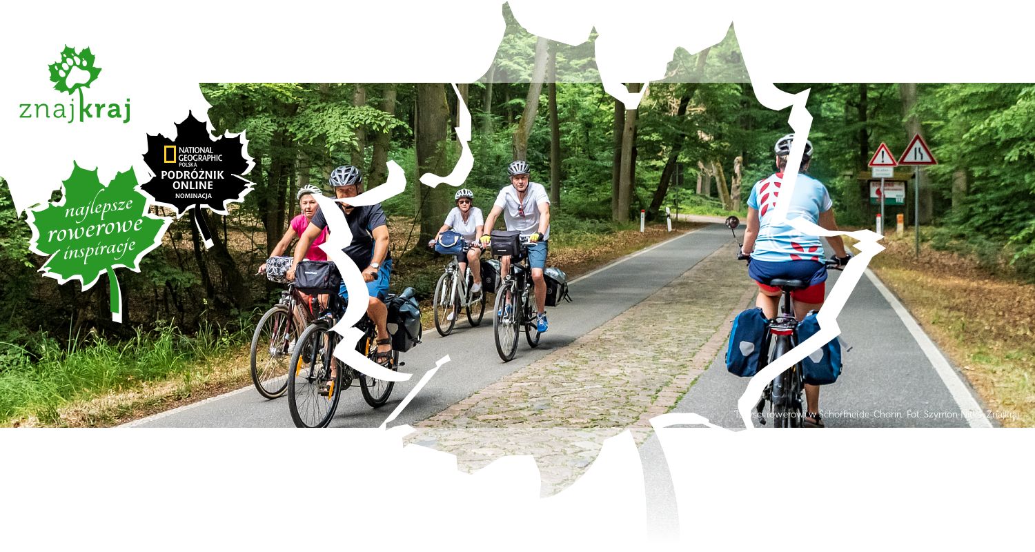 Turyści rowerowi w Schorfheide-Chorin