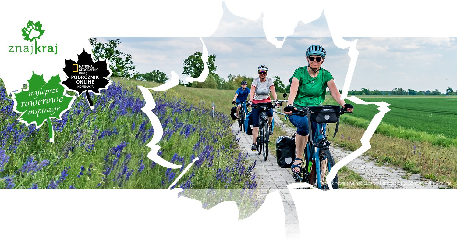 Turystki rowerowe nad Łabą w Niemczech