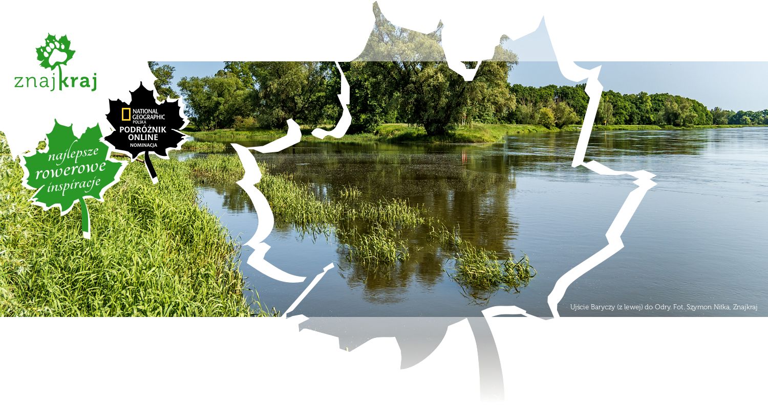 Ujście Baryczy (z lewej) do Odry