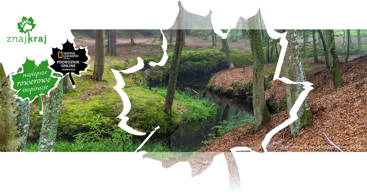 Ujście rzeki Orzechowej do Bałtyku