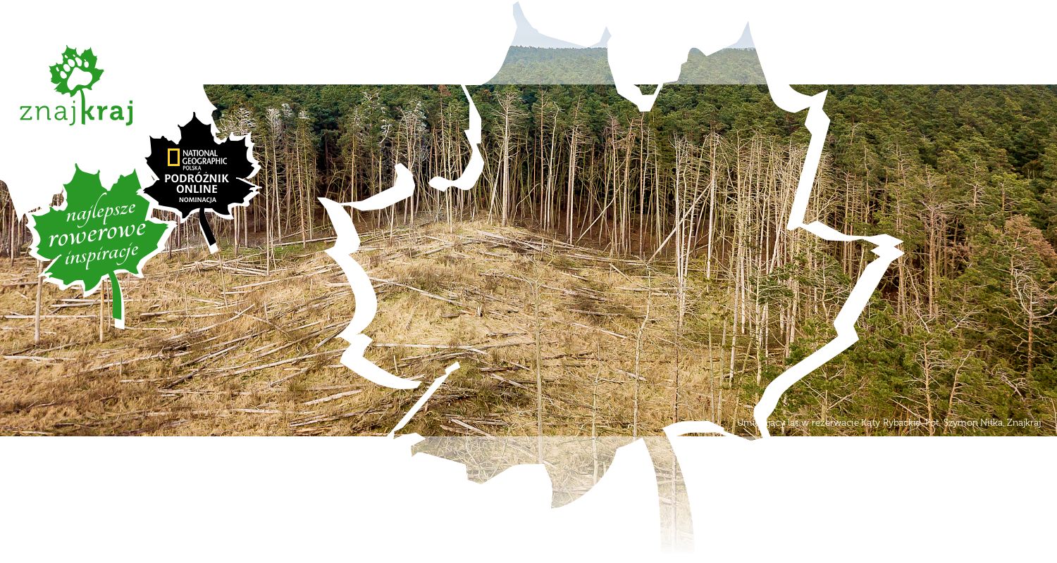 Umierający las w rezerwacie Kąty Rybackie