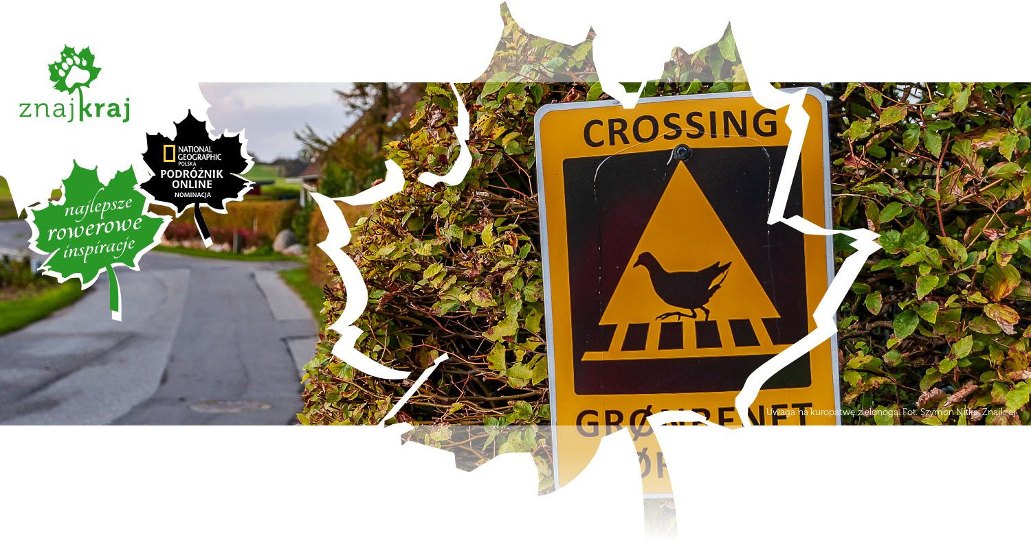 Uwaga na kuropatwę zielonogą