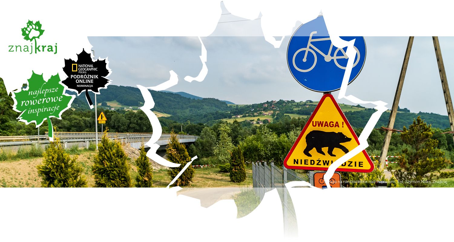 Uwaga na niedźwiedzie nad Popradem