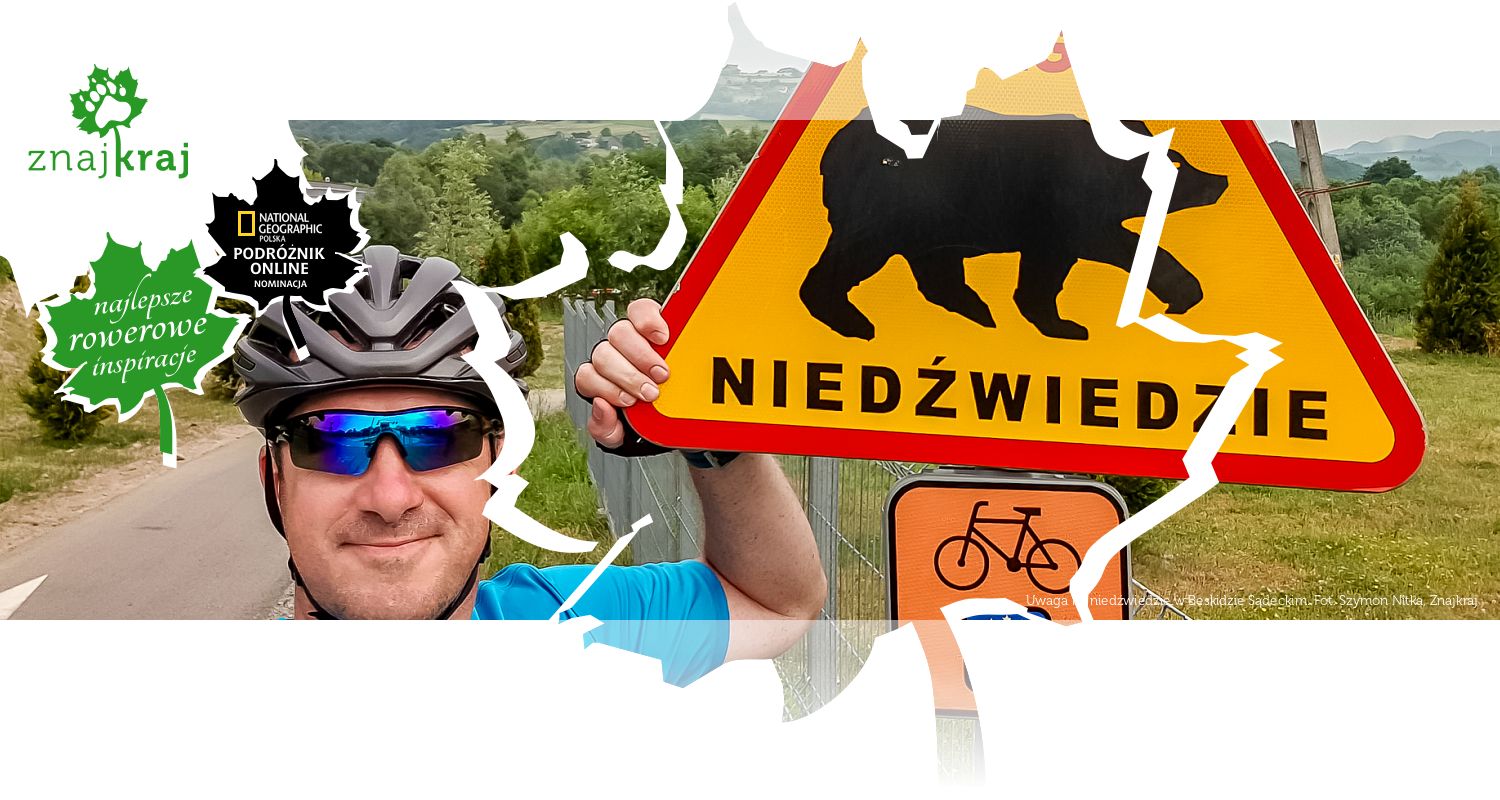 Uwaga na niedźwiedzie w Beskidzie Sądeckim