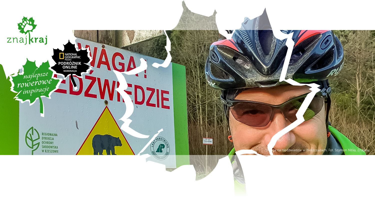 Uwaga na niedźwiedzie w Bieszczadach
